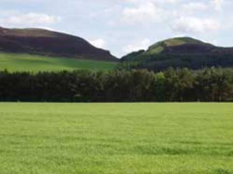 Countryside near Cargill