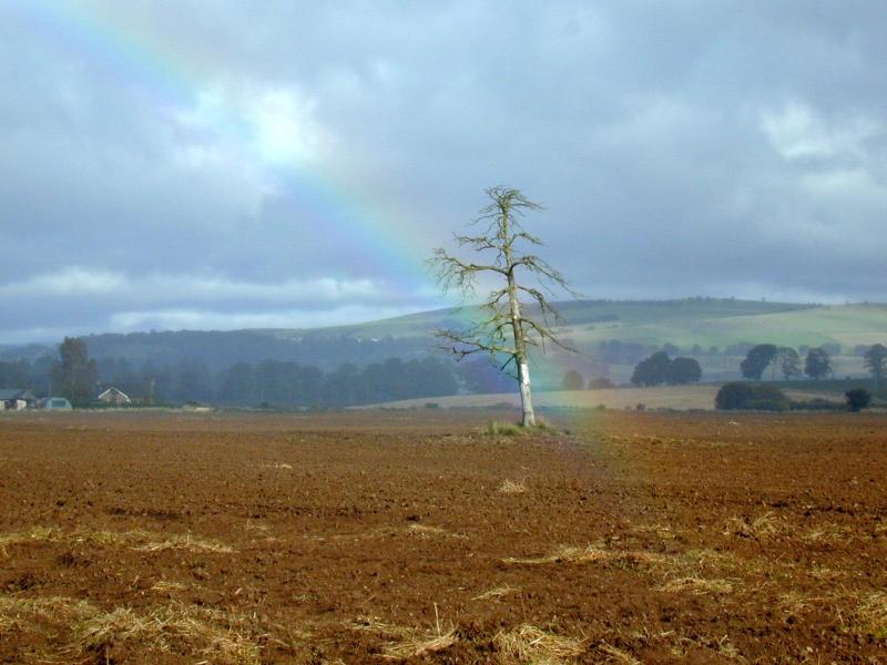 A farm