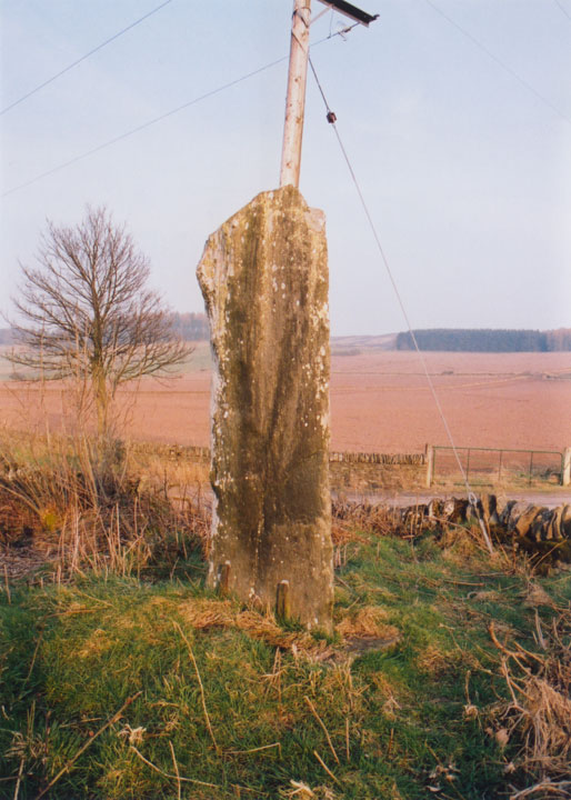 landscape near High Keillor