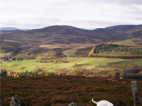 Looking from Mount Blair to Kirkmichael