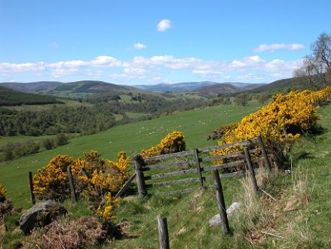 Kirriemuir parish