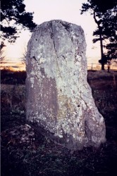 The Stannin stane