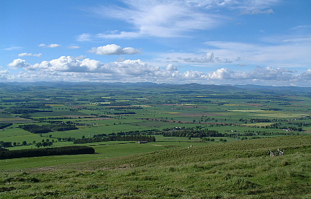 View of area near Newtyle