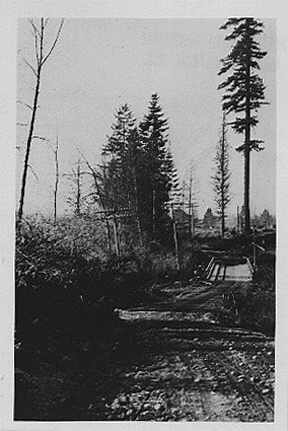 A road in Surrey in 1918