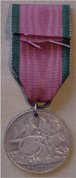 Back of the Crimean medal