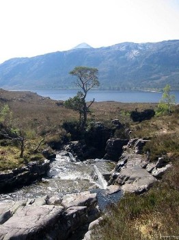A view of Scotland